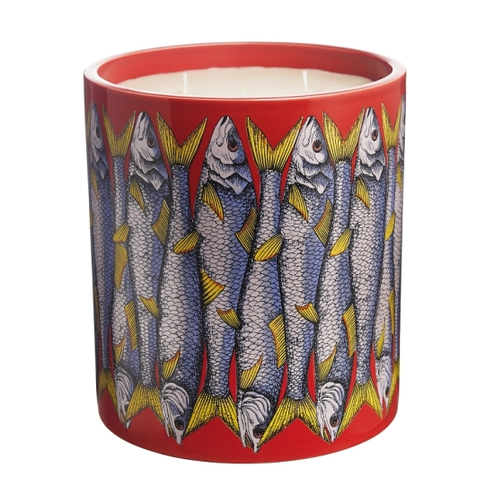 sardine-large-scented-candle
